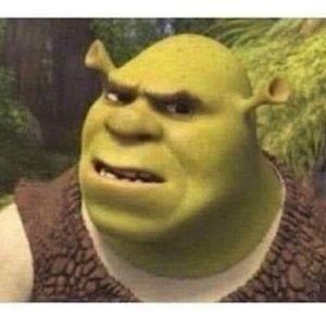 Meet your Posher, Sahar